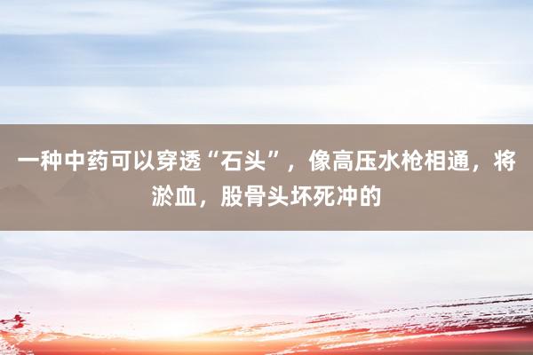 一种中药可以穿透“石头”，像高压水枪相通，将淤血，股骨头坏死冲的