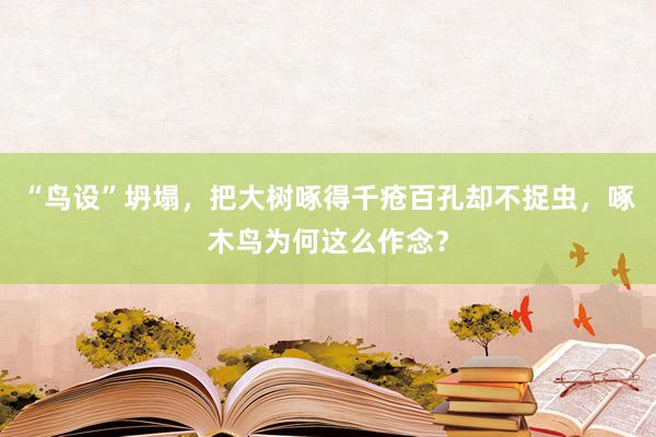 “鸟设”坍塌，把大树啄得千疮百孔却不捉虫，啄木鸟为何这么作念？