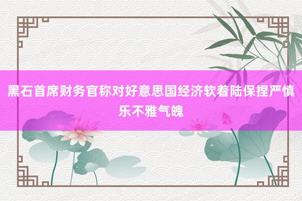 黑石首席财务官称对好意思国经济软着陆保捏严慎乐不雅气魄