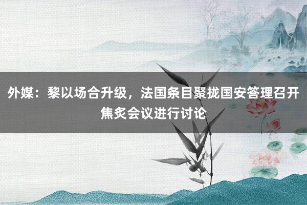 外媒：黎以场合升级，法国条目聚拢国安答理召开焦炙会议进行讨论