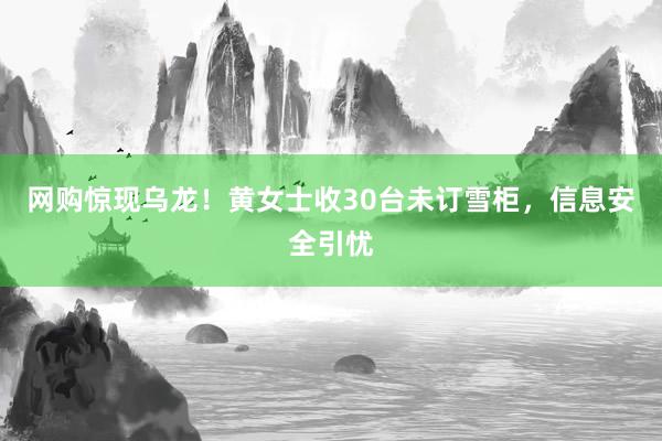 网购惊现乌龙！黄女士收30台未订雪柜，信息安全引忧